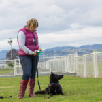 You and Your Dog Training courses