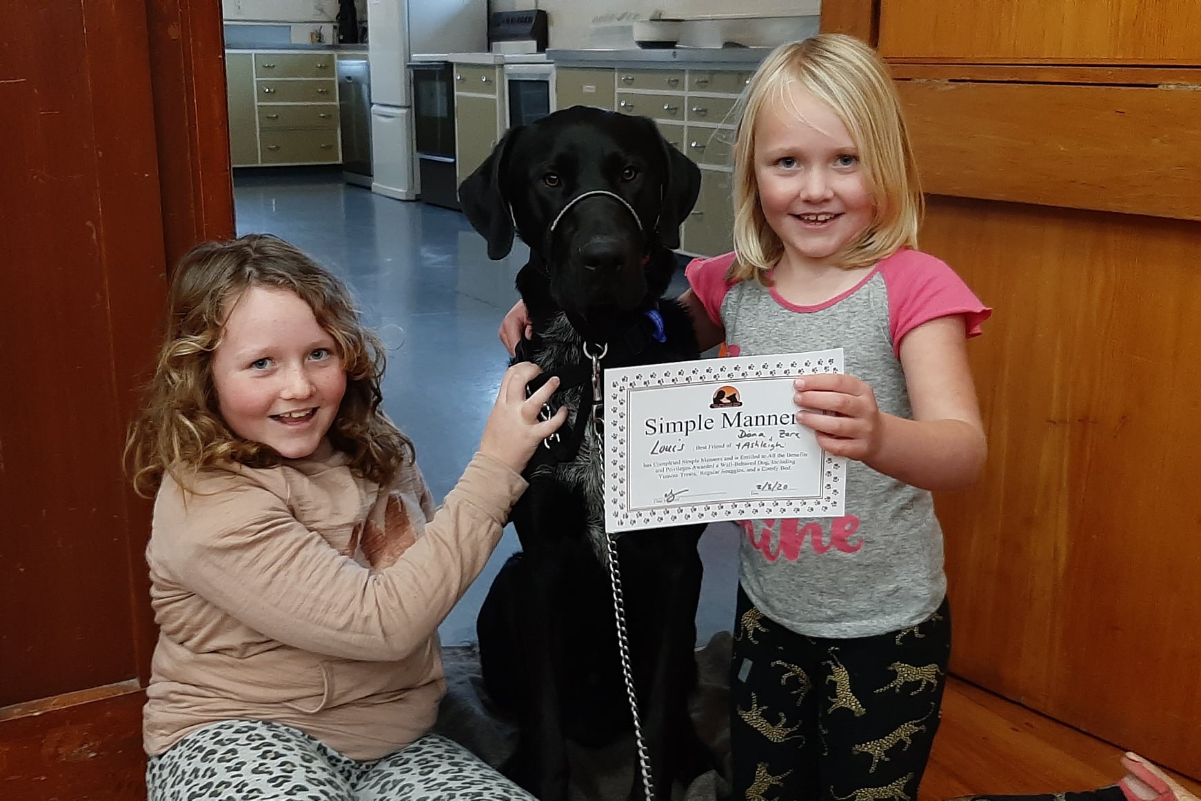 Simple Manners Dog Training Course Nelson Tasman