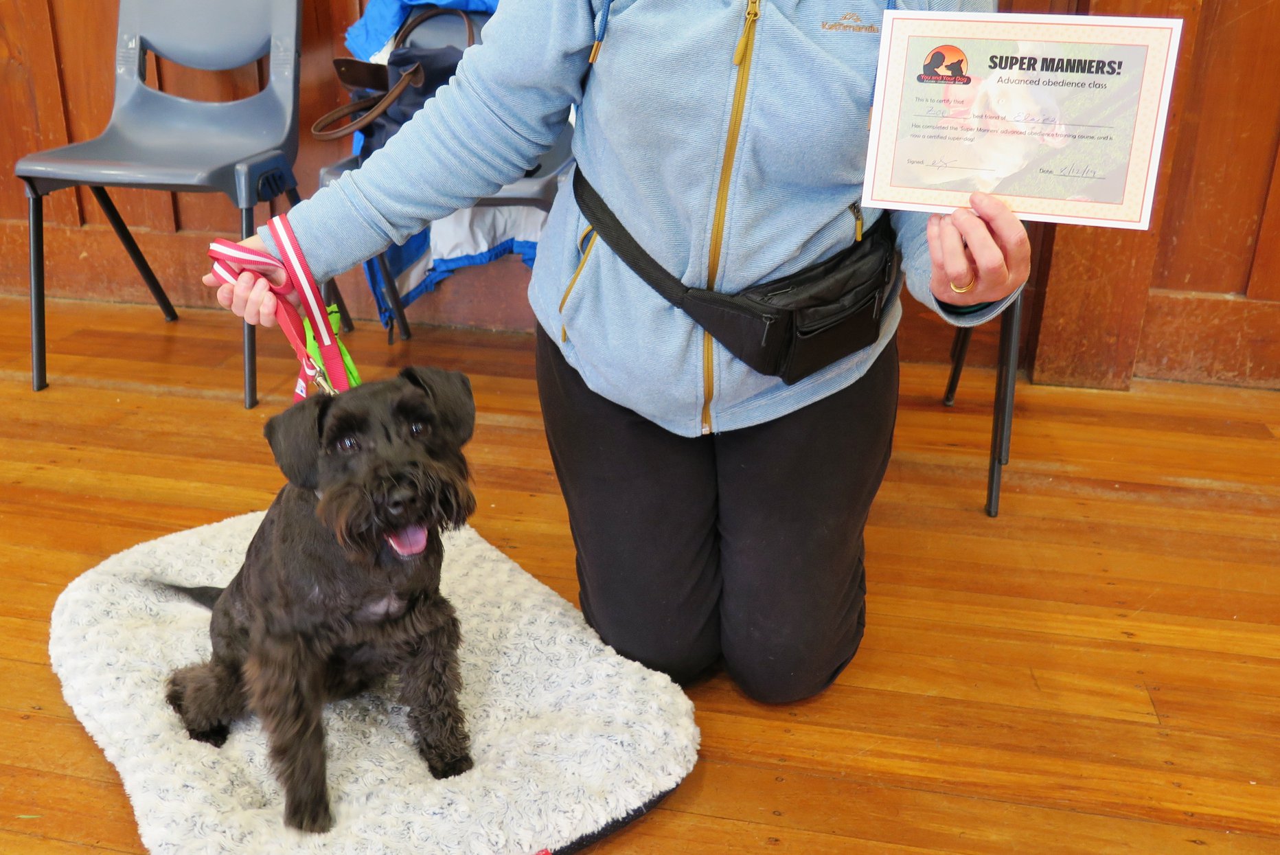 Super Manners Dog Training Course Nelson Tasman