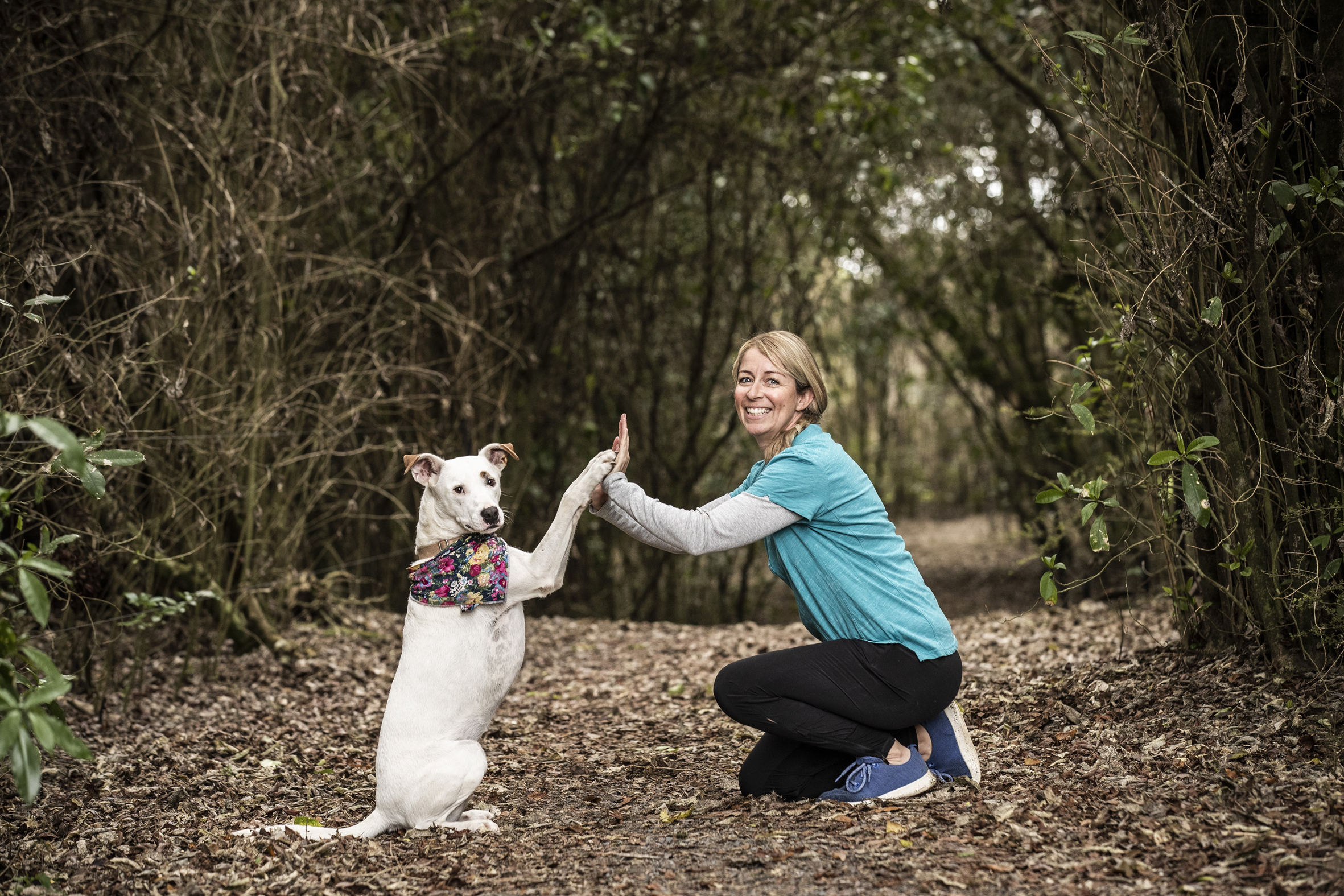 You and Your Dog training classes